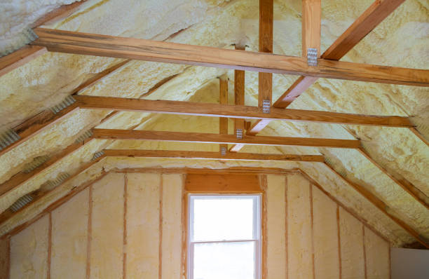 Best Insulation Inspection Services  in Strasburg, CO